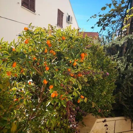 City Lani Apartment Dubrovnik